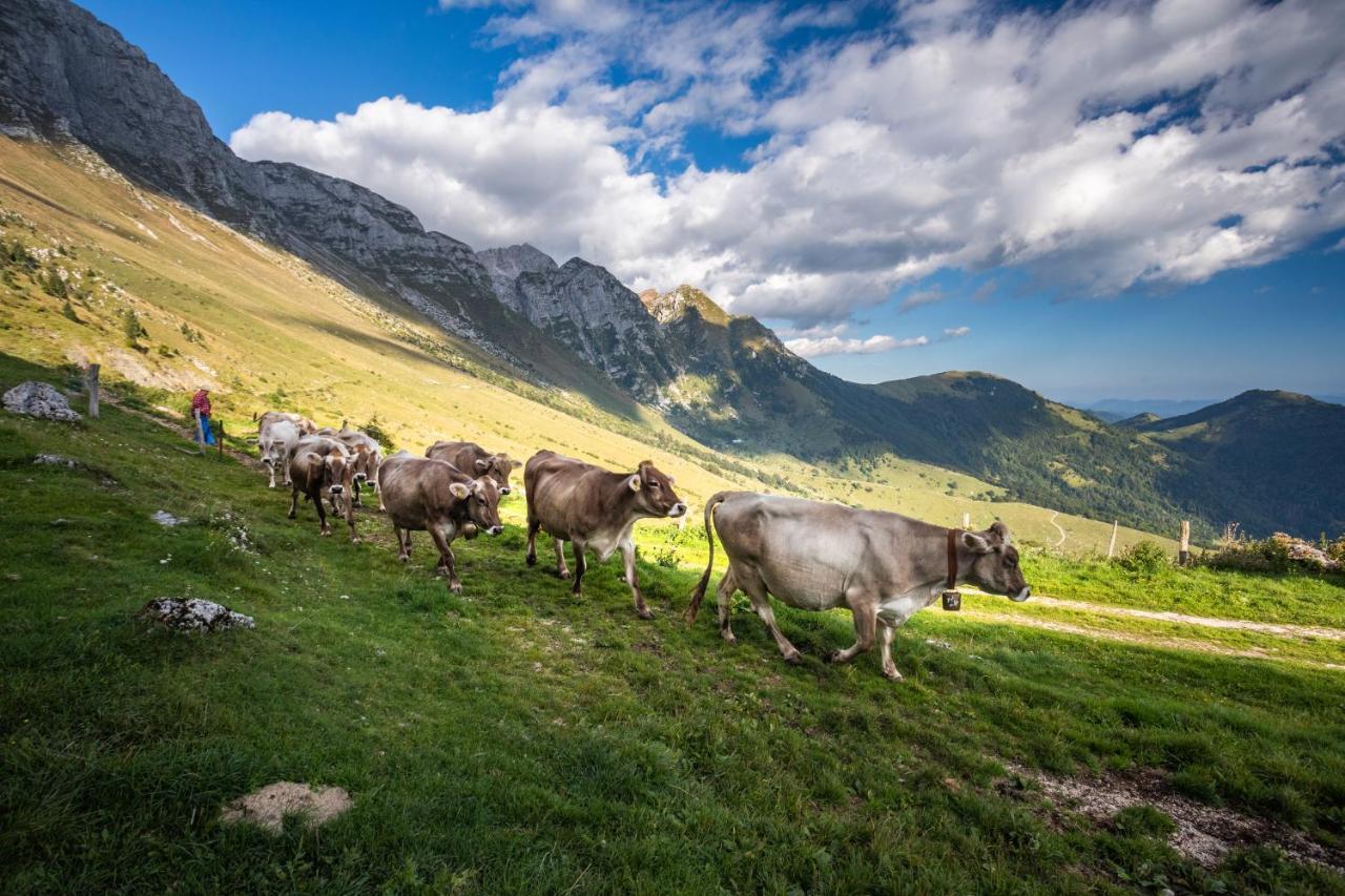 Nebesa Chalets Kobarid Kültér fotó